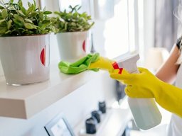 چگونه هر وسیله ای را تمیز کنید