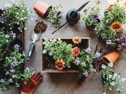 باغبانی چگونه شغلی است ؟ و یک باغبان باید چه شرایطی داشته باشد