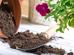 تفاوت بین خاک باغچه و گلدان چیست ؟ و انواع خاک را بشناسید