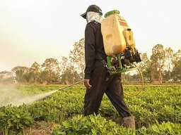 چگونه گیاهان را سم پاشی کنیم ؟ و نکاتی برای انتخاب یک سم خوب