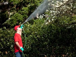 در زمان سمپاشی گیاهان و درختان باید چه نکاتی را رعایت کنیم ؟