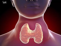 بیماری تیروئید چگونه بیماری است ؟ و علائم آن 