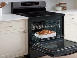 مشکلاتی که در فر گاز به وجود می آید کدامند ؟