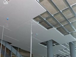 چند نکته که باید در مورد کناف بدانید ؟