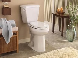 بهترین سم از بین‌بردن سوسک چاه دستشویی