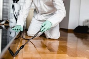 سمپاشی منازل بصورت حرفه ای