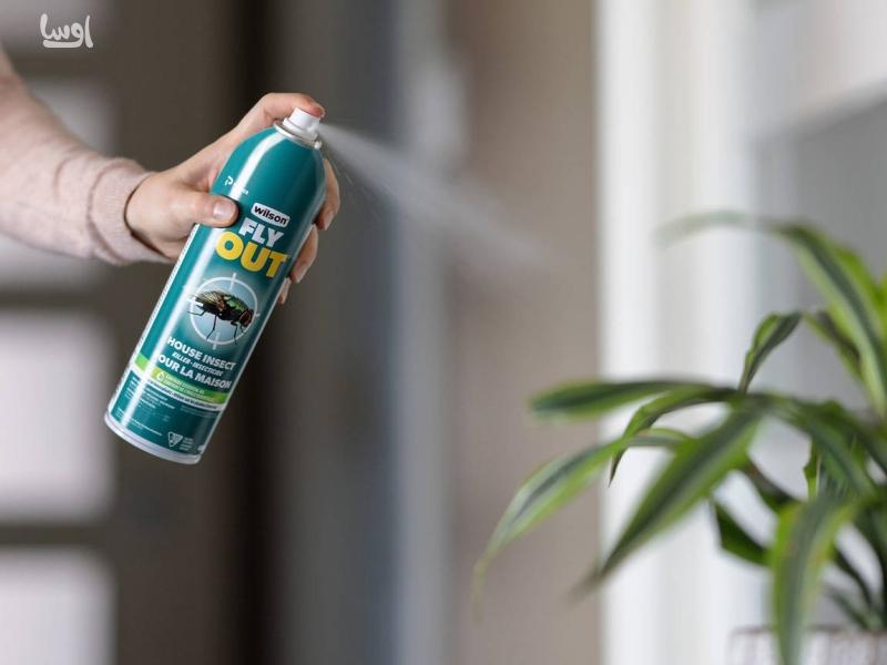 دفع حشرات از خانه